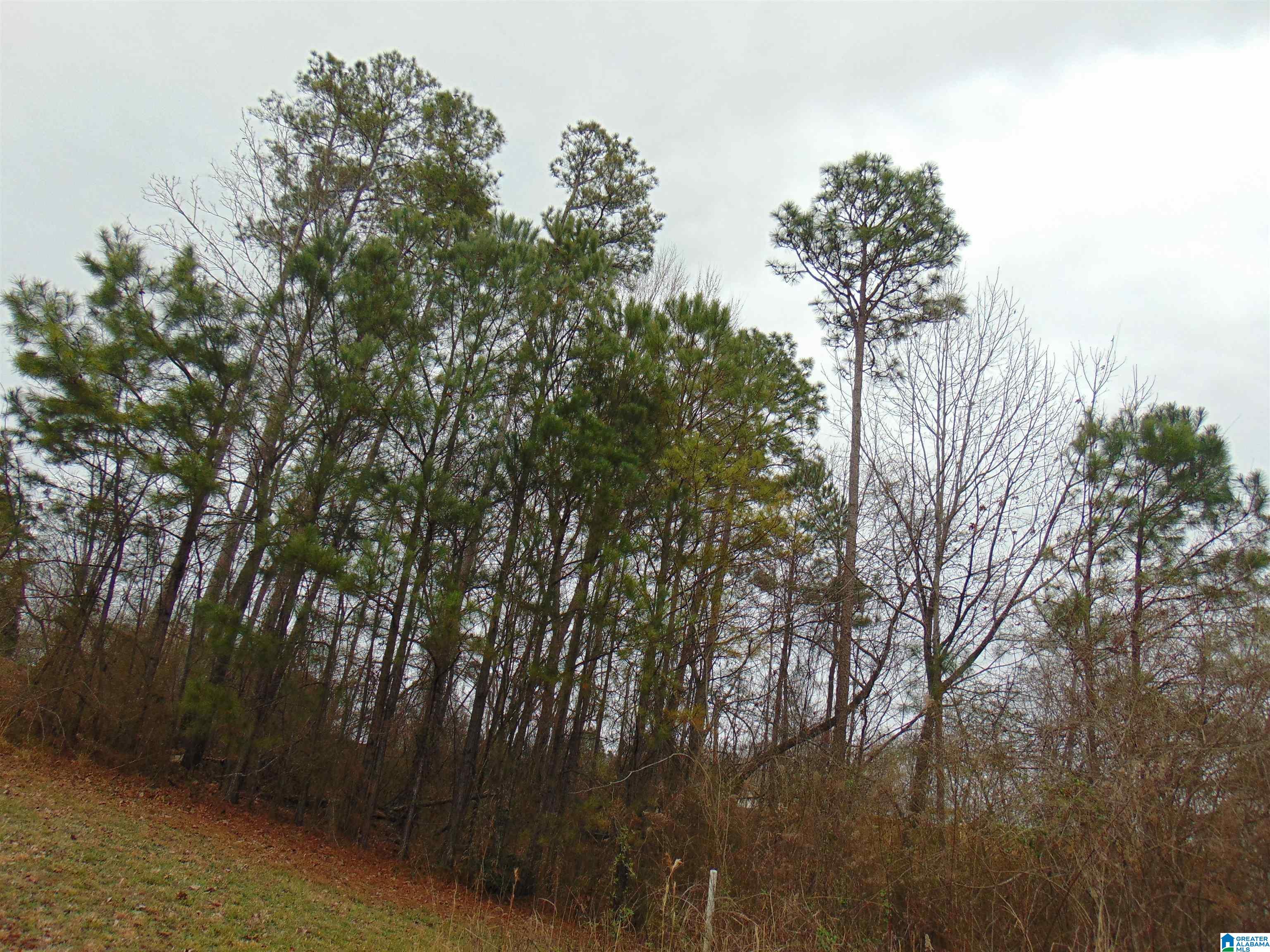1215 Grande View Lane, Unit 820 Alabaster, AL 35114 - Photo 3 of 3