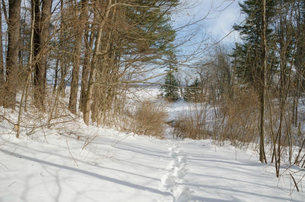 109 Foreside Road Cumberland Foreside, ME 04110 - Photo 17 of 19 Path to the ocean