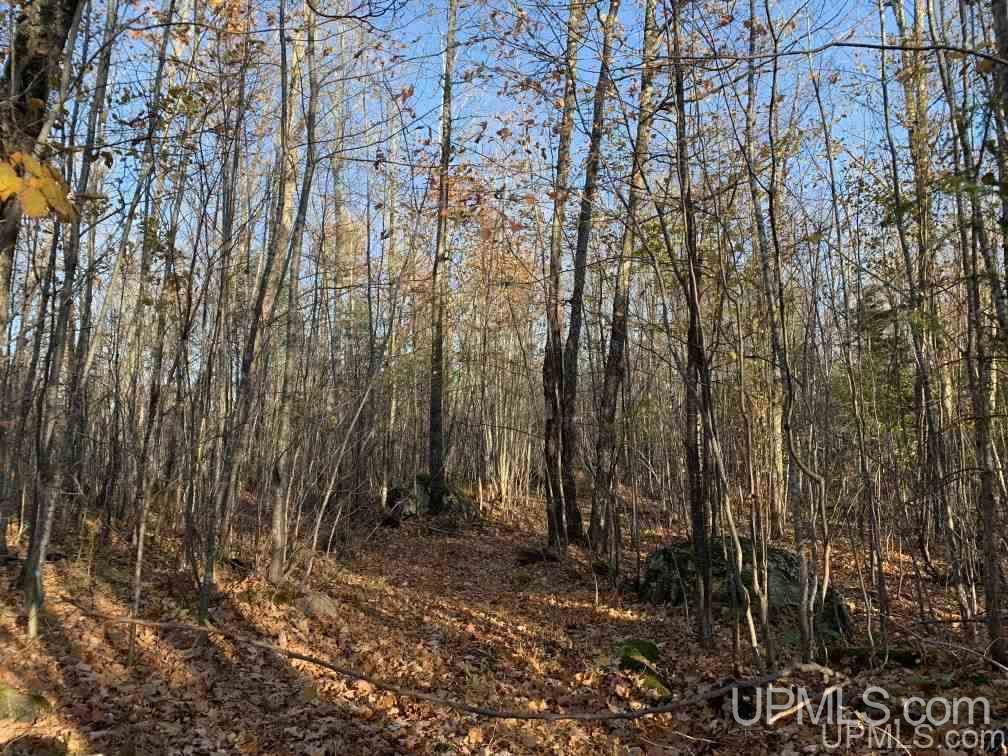 18706 Celotex Road Lanse, MI 49946 - Photo 22 of 28 Gallery Image 22
