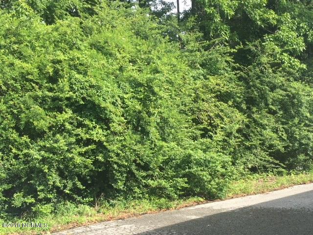 Lot 3 Hewitt Road Richlands, NC 28574 - Photo 1 of 5 Front
