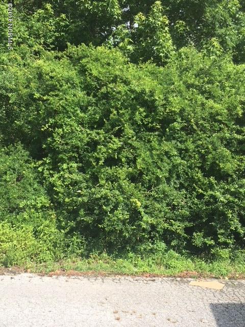 Lot 3 Hewitt Road Richlands, NC 28574 - Photo 5 of 5 IMG_6705