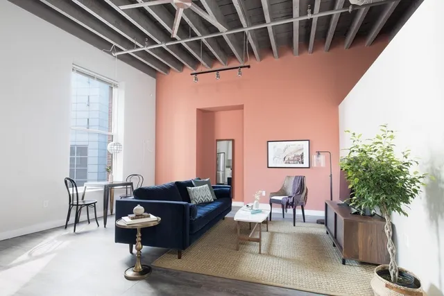 a living room with furniture and a potted plant