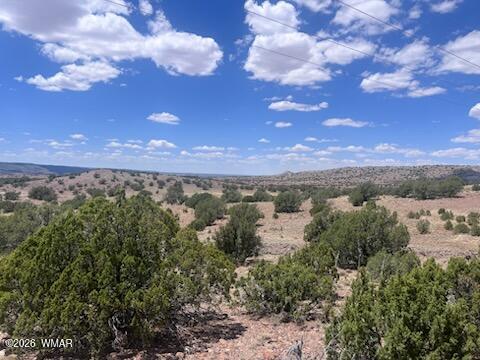 41 Indian Drive Concho, AZ 85924 - Photo 19 of 26 IMG_3685
