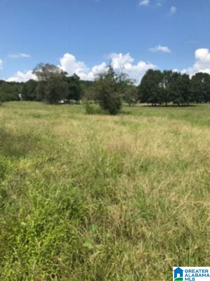 1957 Mineral Springs Road, Unit ACREAGE Pell City, AL 35125 - Photo 4 of 8