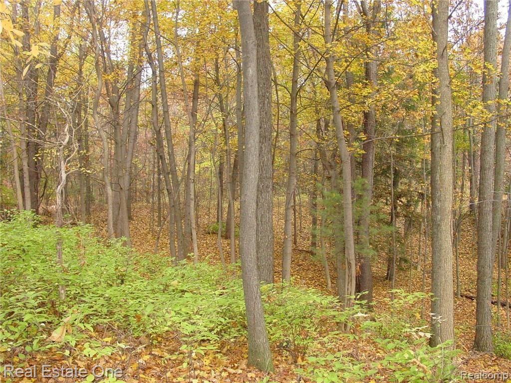 L5 Addaleen Road Highland, MI 48357 - Photo 8 of 15