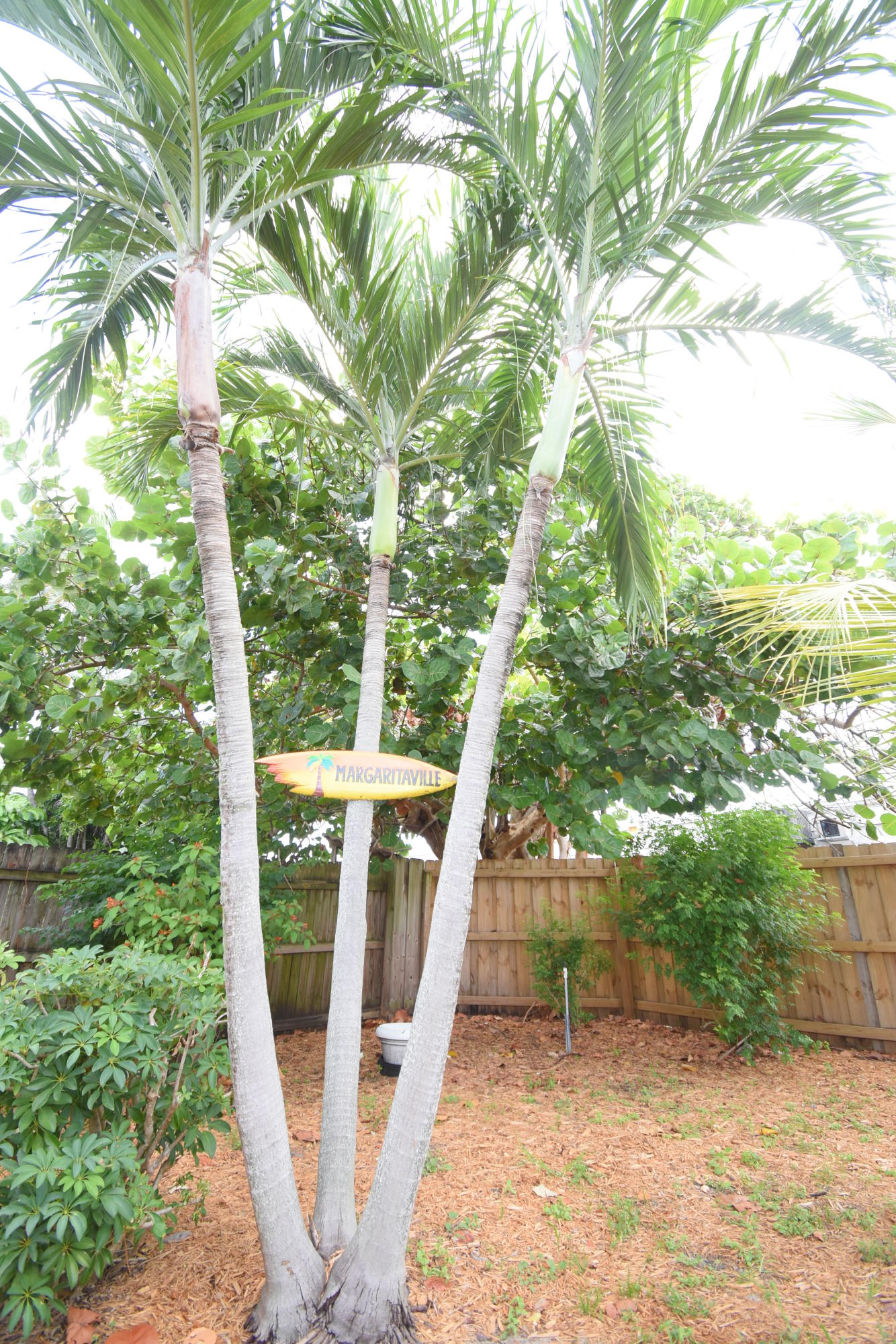 498 Northeast 5th Circle Boca Raton, FL 33431 - Photo 39 of 47 DSC_0272