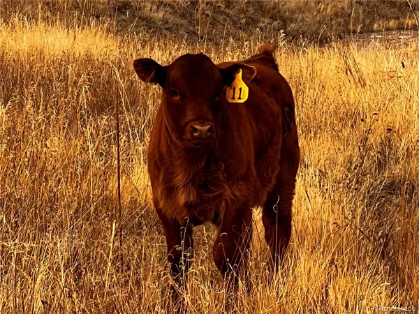 a view of under construction area