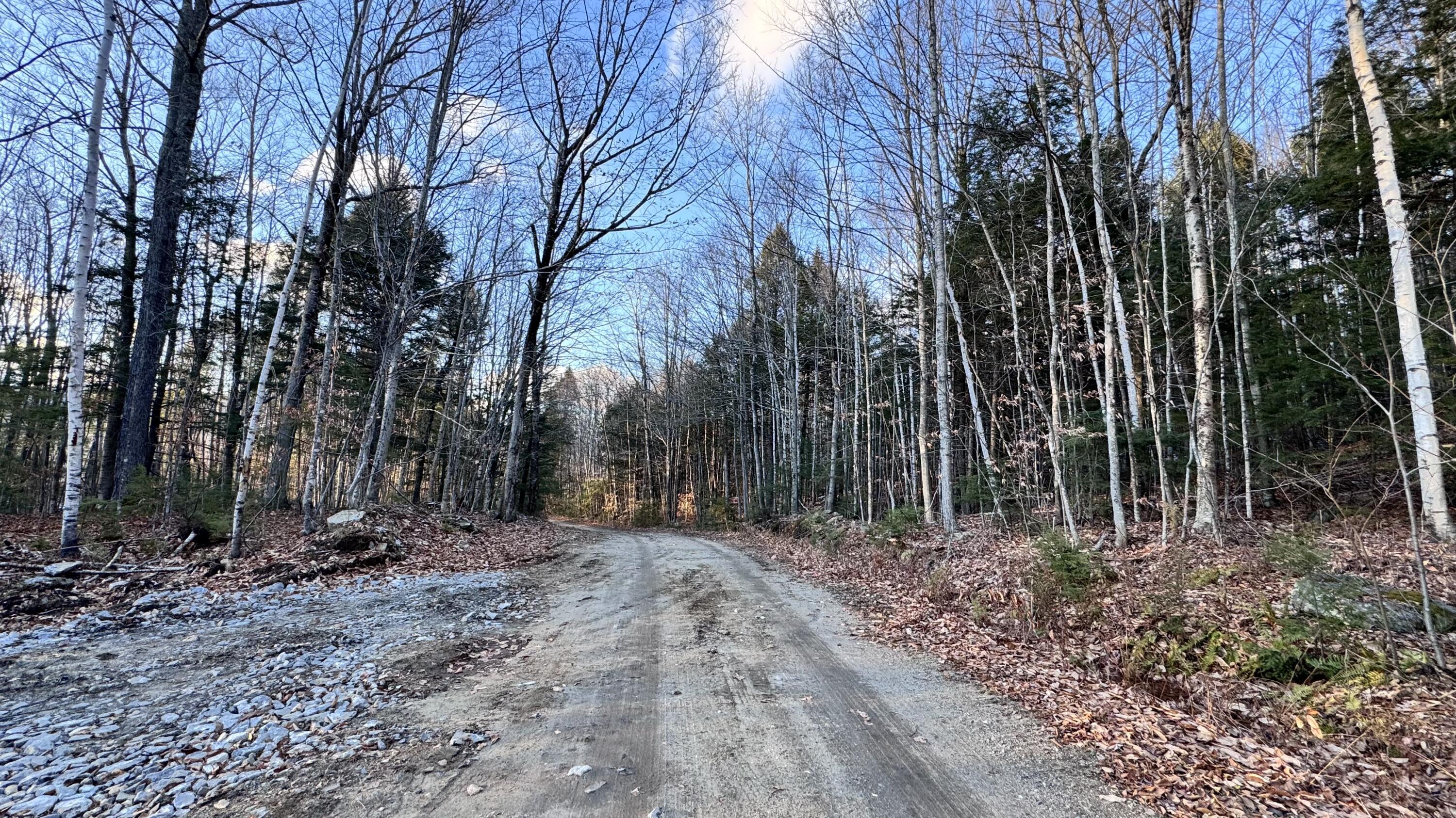 0 French Hill Road Bethel, ME 04217 - Photo 17 of 18 Road with entrance to driveway