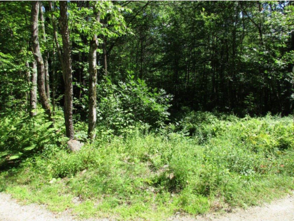 0 Breed Road Harrisville, NH 03450 - Photo 2 of 4