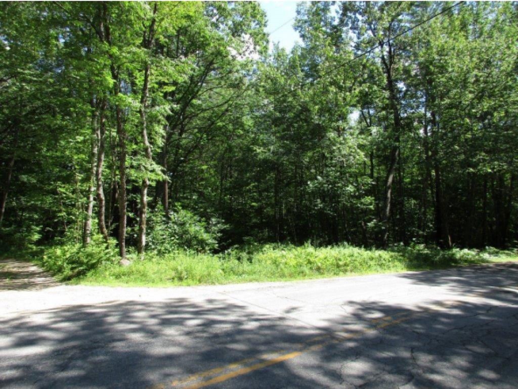 0 Breed Road Harrisville, NH 03450 - Photo 4 of 4