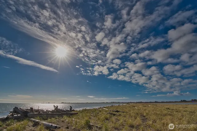 a kitchen with a refrigerator a stove top oven a sink and dishwasher