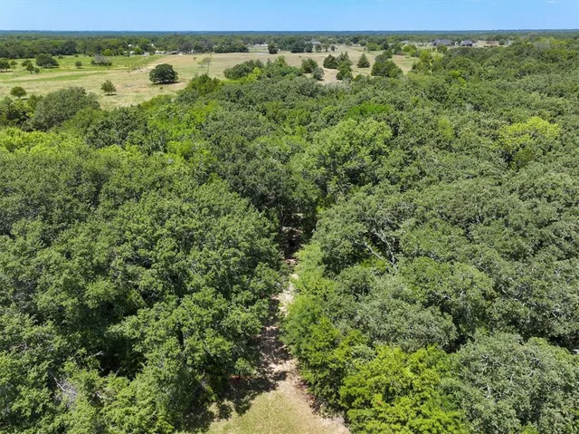 a view of a green field with lots of bushes