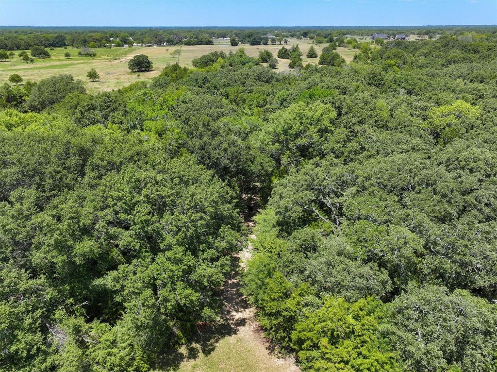 15374 Fm 2728 Terrell, TX 75161 - Photo 12 of 39 a view of a green field with lots of bushes