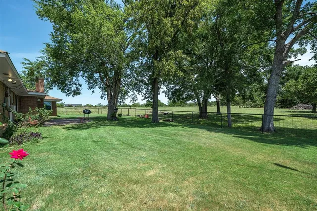 a view of a tree in front of a house