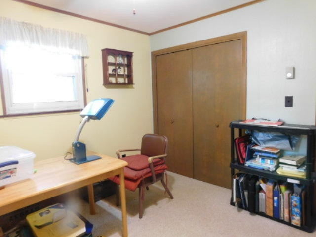537 East Southern Road Coldwater, MI 49036 - Photo 13 of 27 DSCN1309