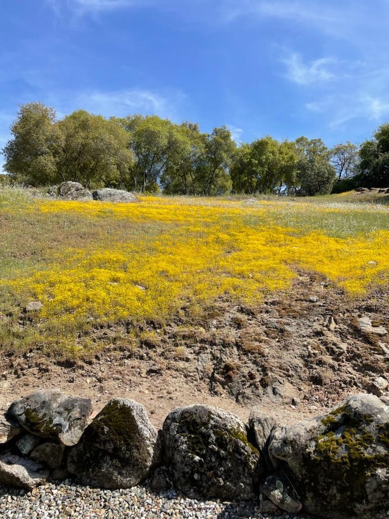 31508 Quartz Mountain Road Coarsegold, CA 93614 - Photo 50 of 52 Gallery Image 50