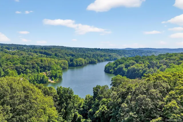 a view of a lake with a mountain in the background