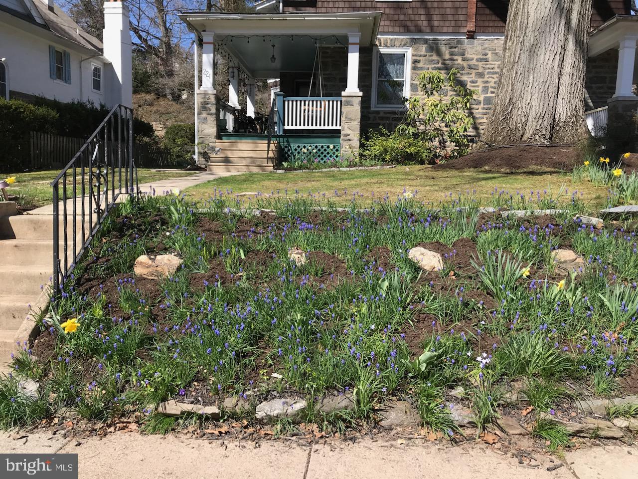 221 Mather Road Jenkintown, PA 19046 - Photo 51 of 52 Front yard bank of flowers near sidewalk.