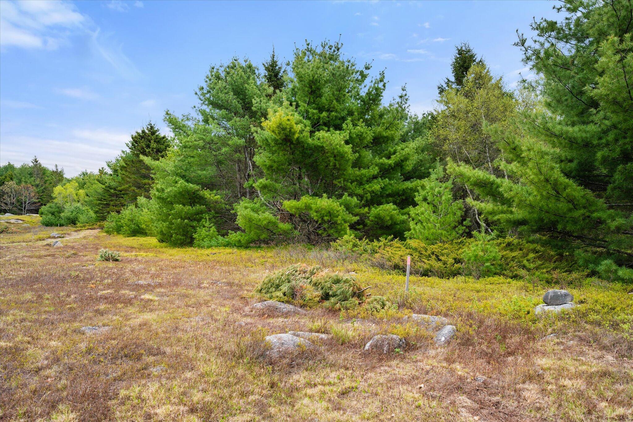 6 Map Road Orland, ME 04472 - Photo 10 of 22 Map 6, Lot 31 C Cedar Swamp Rd.