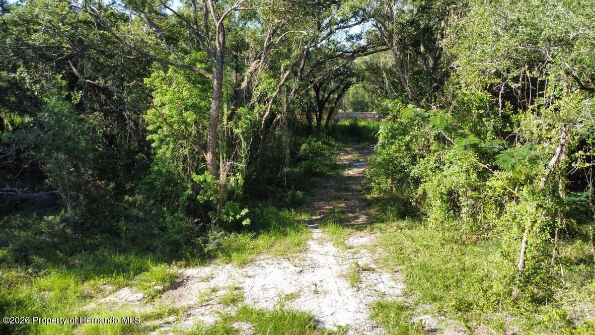 0 Little Ranch Road Spring Hill, FL 34610 - Photo 5 of 25