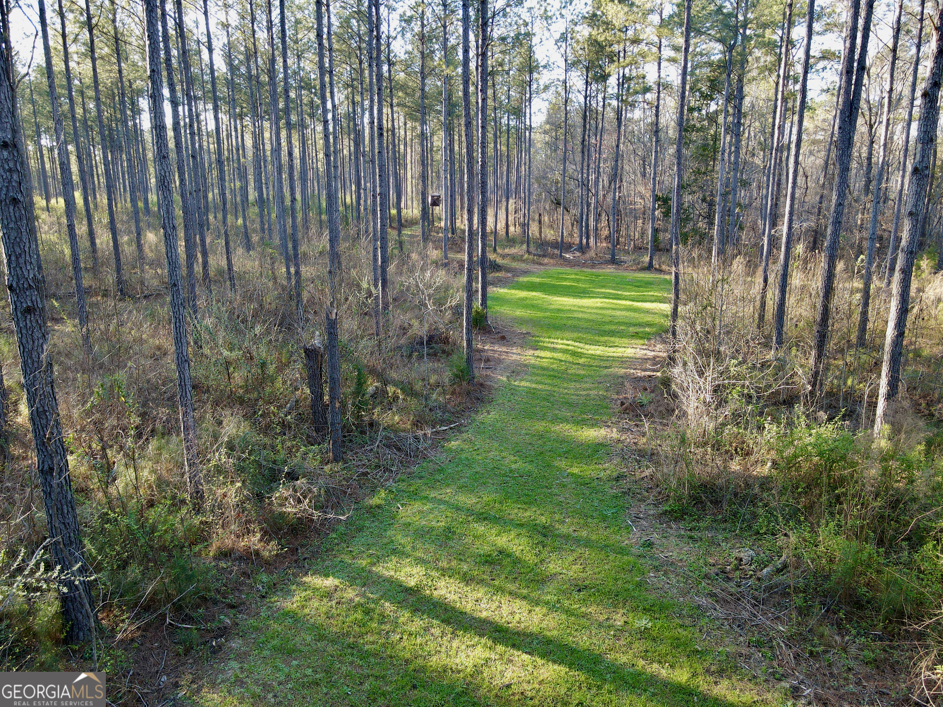 0 Long Cane Road Abbeville, SC 29620 - Photo 1 of 30