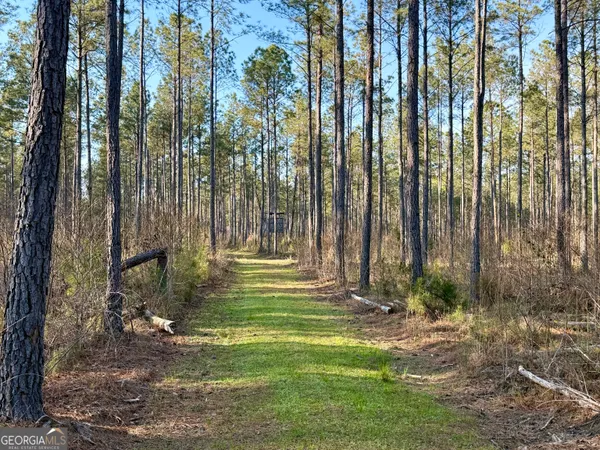 a view of swimming pool with a yard and large trees