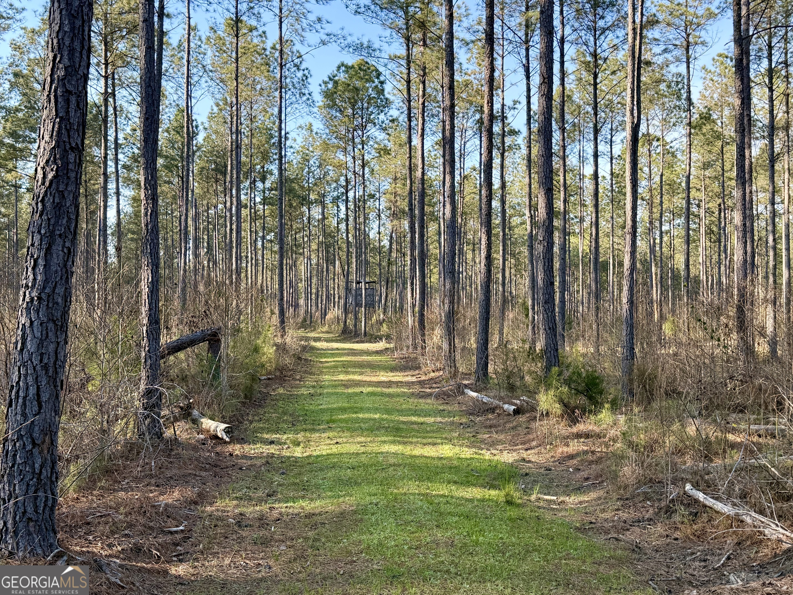 0 Long Cane Road Abbeville, SC 29620 - Photo 11 of 30