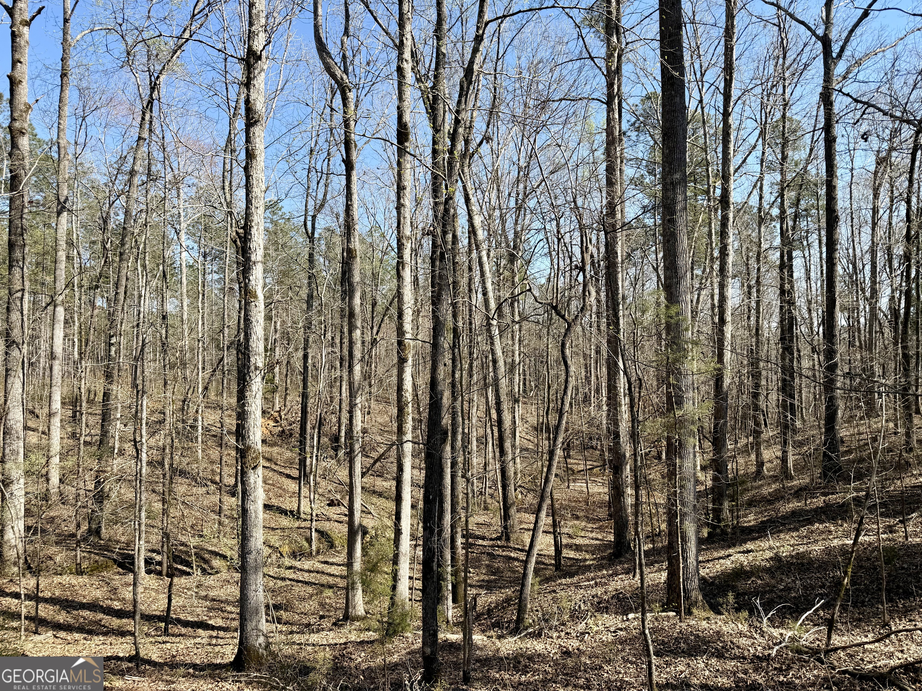 0 Long Cane Road Abbeville, SC 29620 - Photo 12 of 30