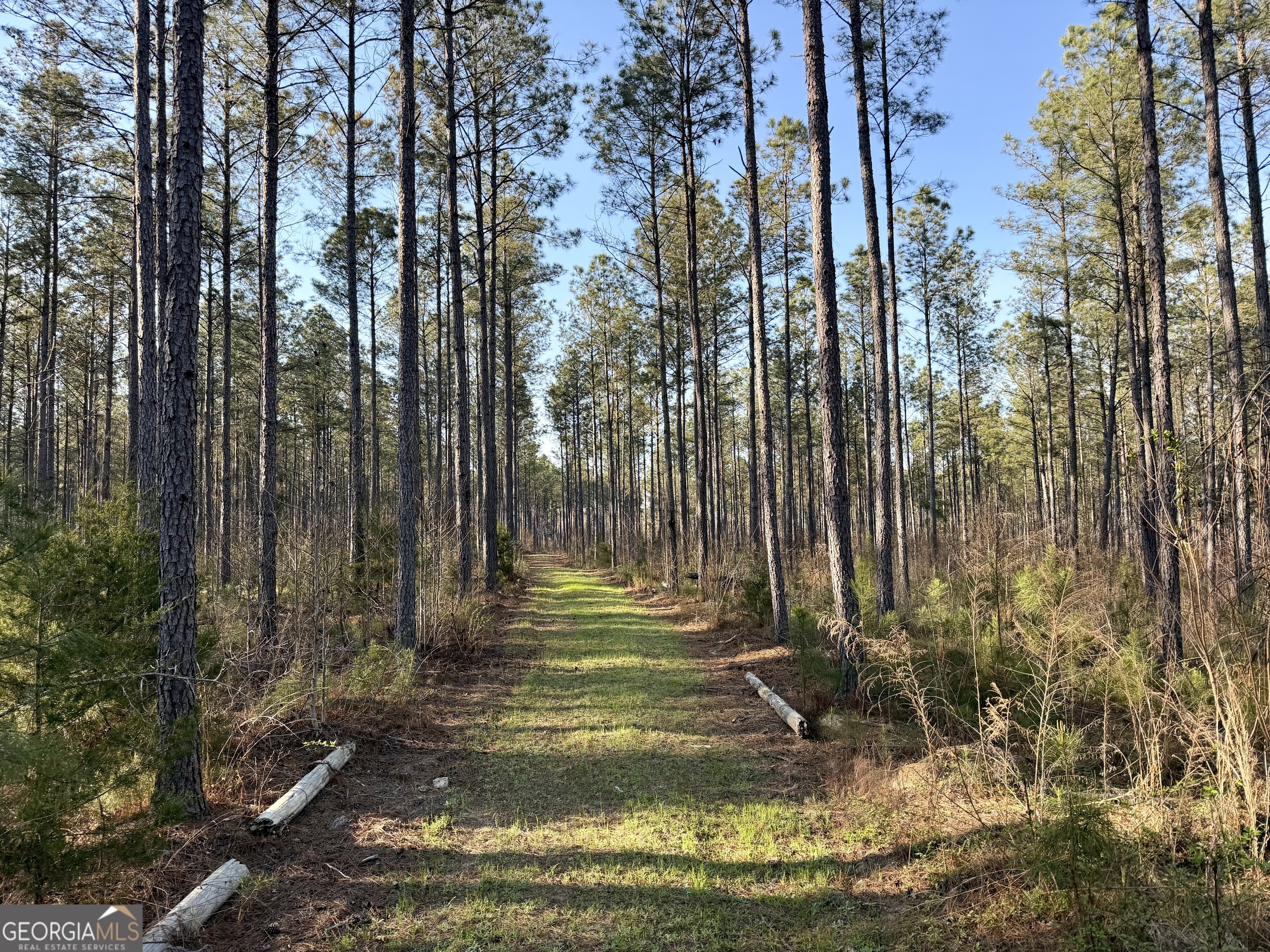 0 Long Cane Road Abbeville, SC 29620 - Photo 13 of 30