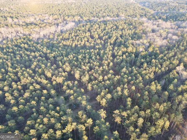 a view of swimming pool with a yard