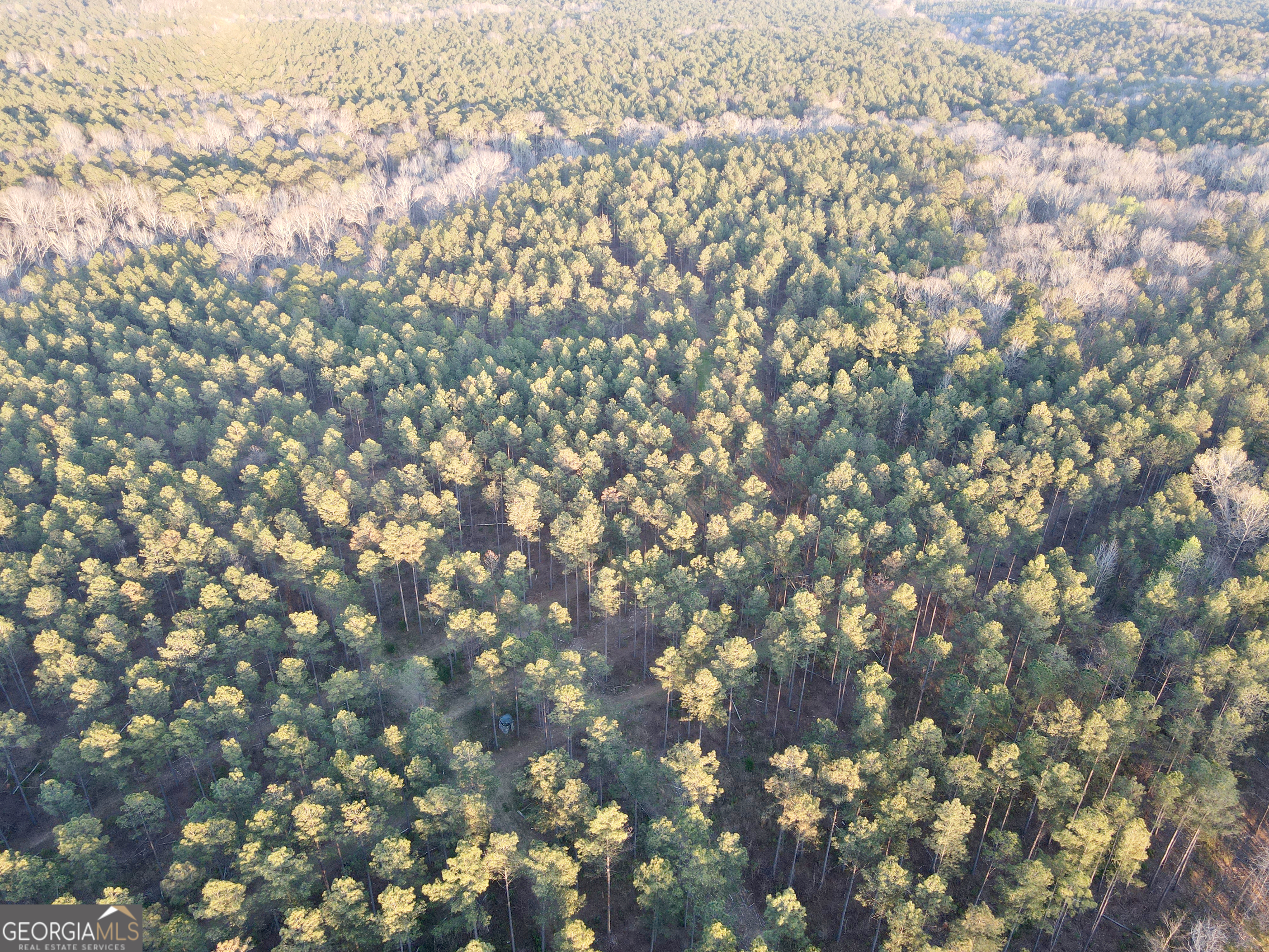 0 Long Cane Road Abbeville, SC 29620 - Photo 16 of 30