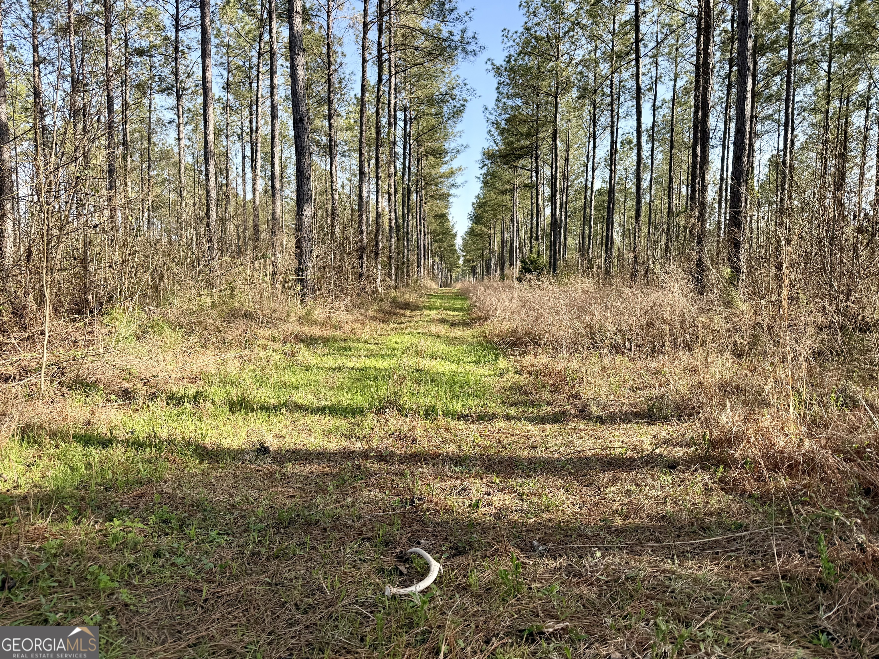 0 Long Cane Road Abbeville, SC 29620 - Photo 17 of 30