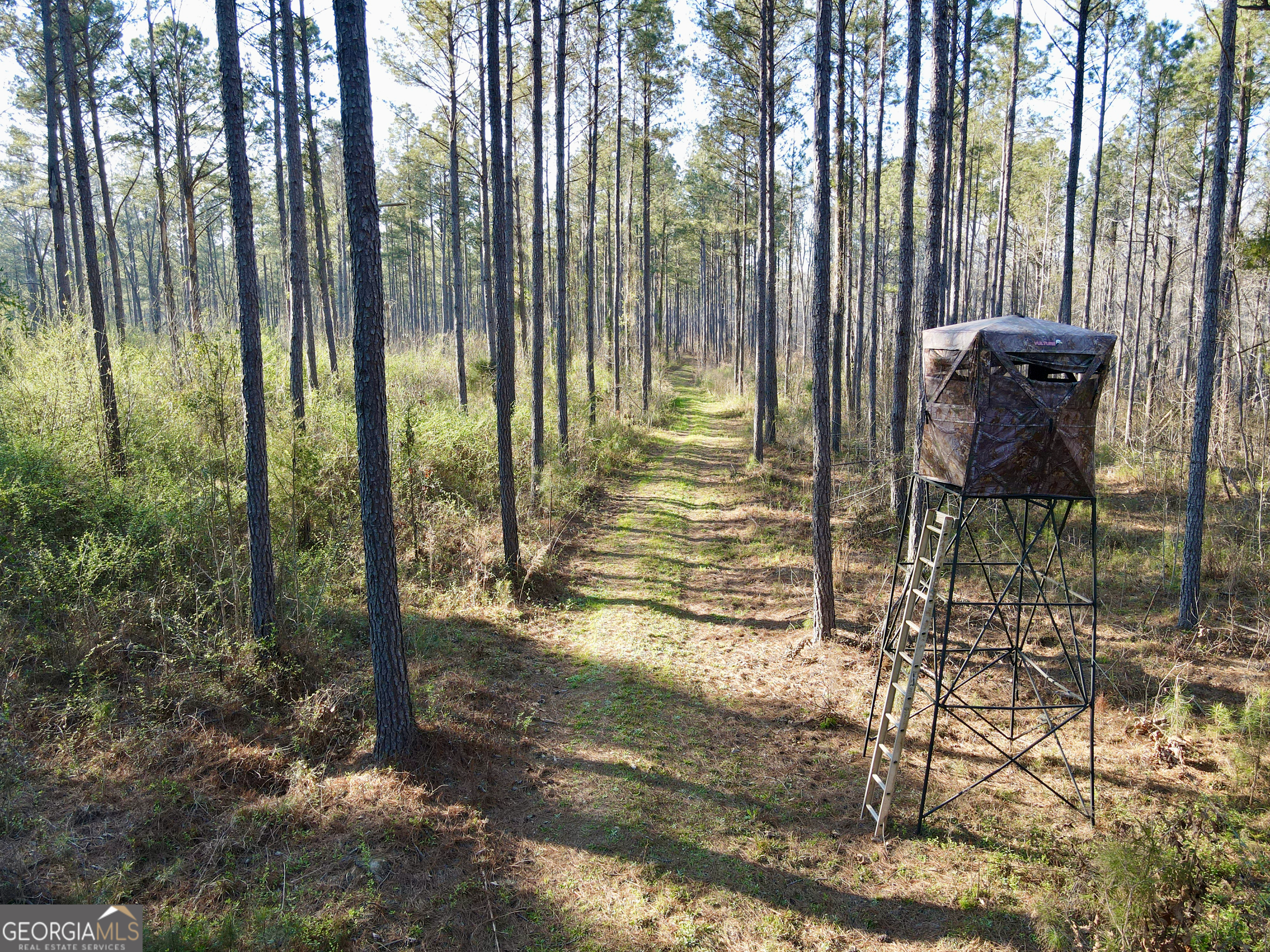 0 Long Cane Road Abbeville, SC 29620 - Photo 18 of 30