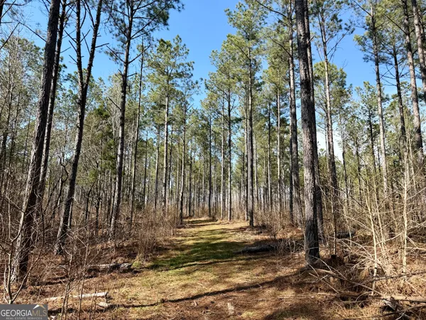 a view of a backyard of the house