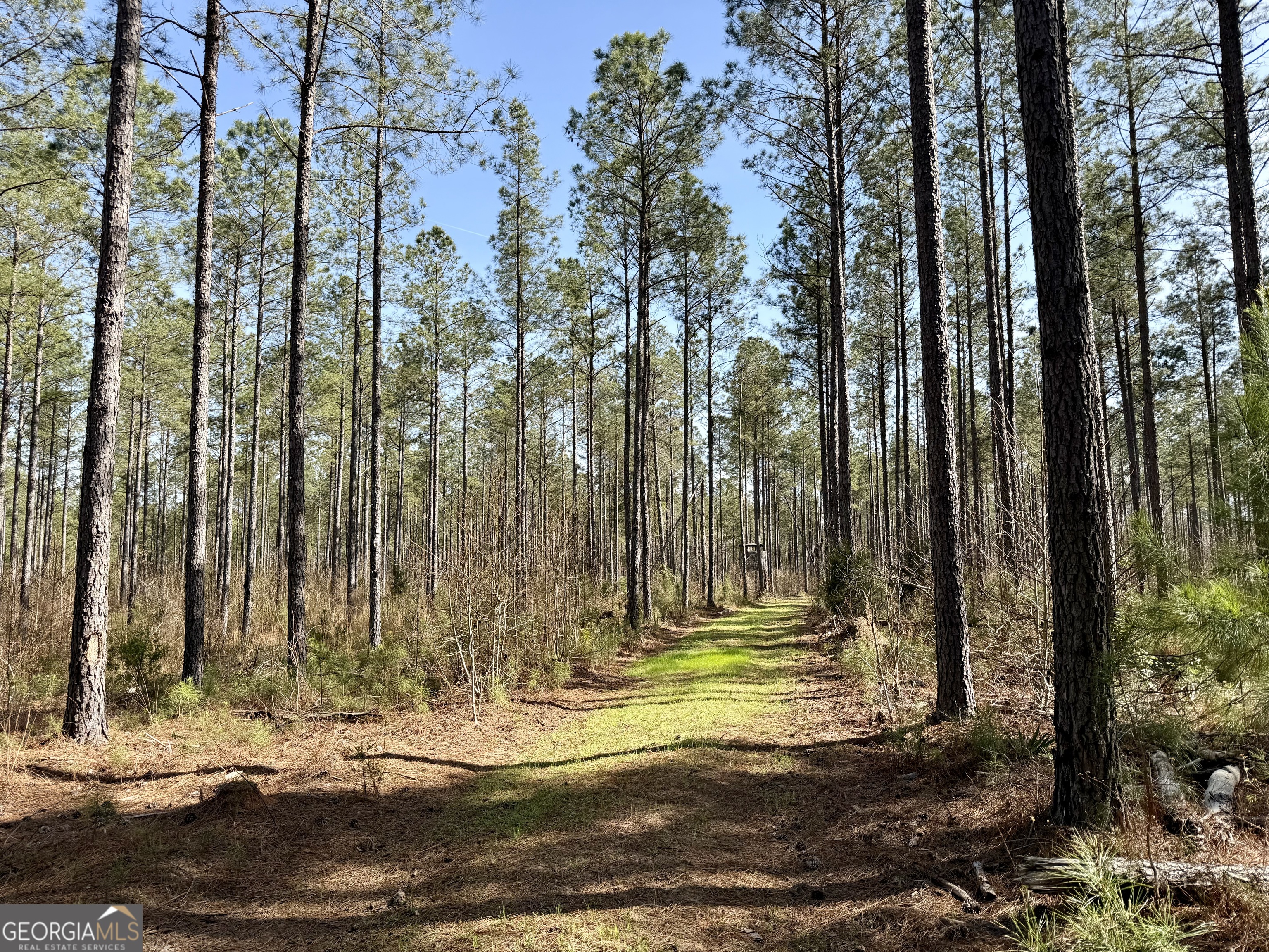 0 Long Cane Road Abbeville, SC 29620 - Photo 20 of 30