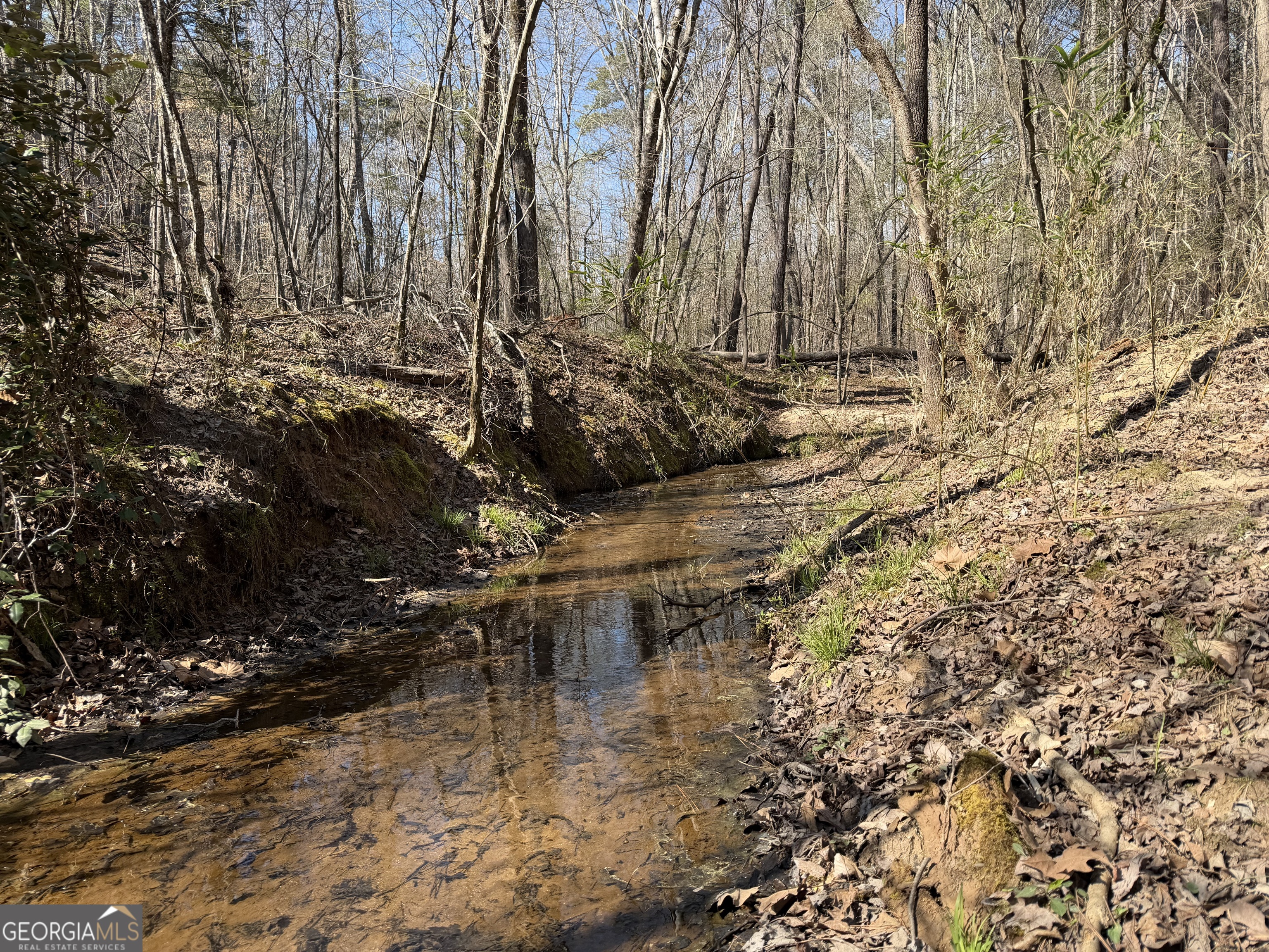 0 Long Cane Road Abbeville, SC 29620 - Photo 2 of 30