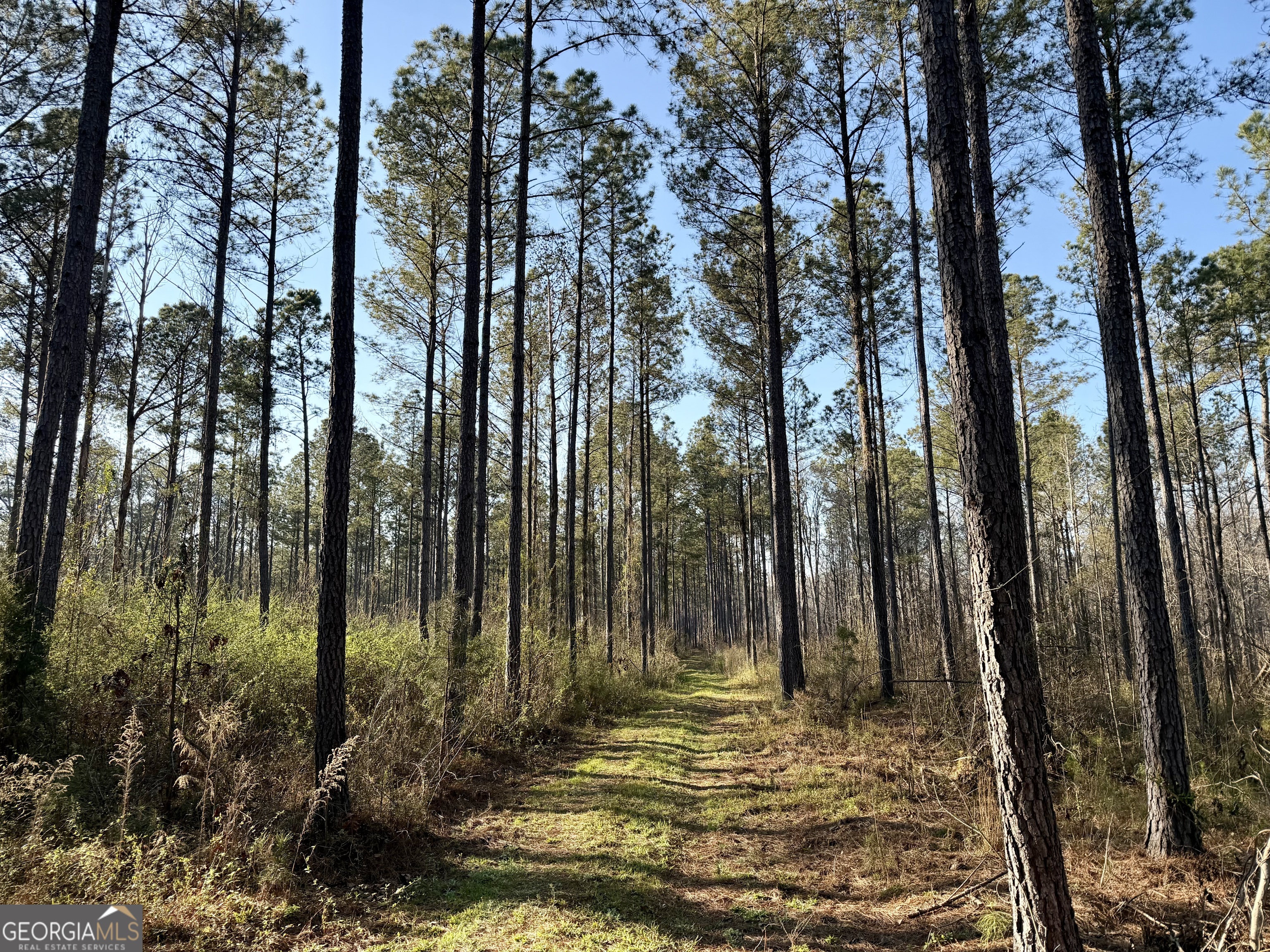 0 Long Cane Road Abbeville, SC 29620 - Photo 21 of 30