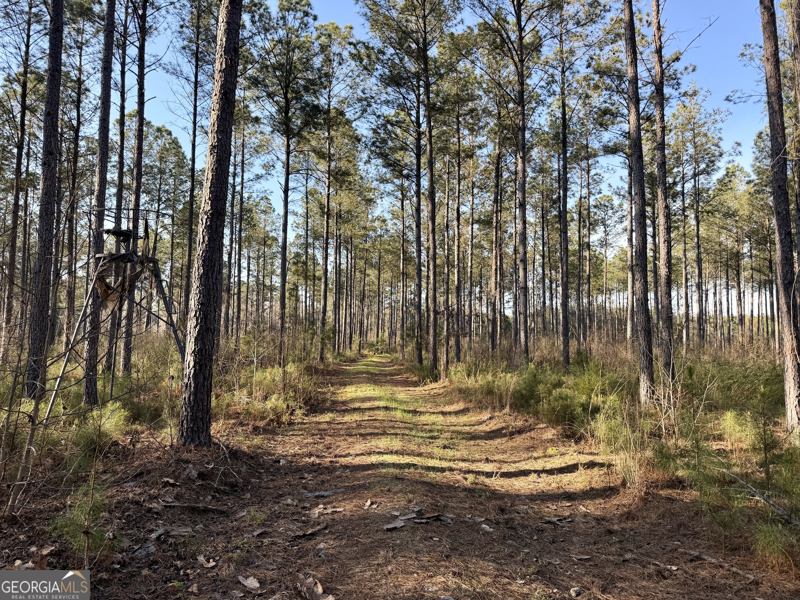 0 Long Cane Road Abbeville, SC 29620 - Photo 22 of 30