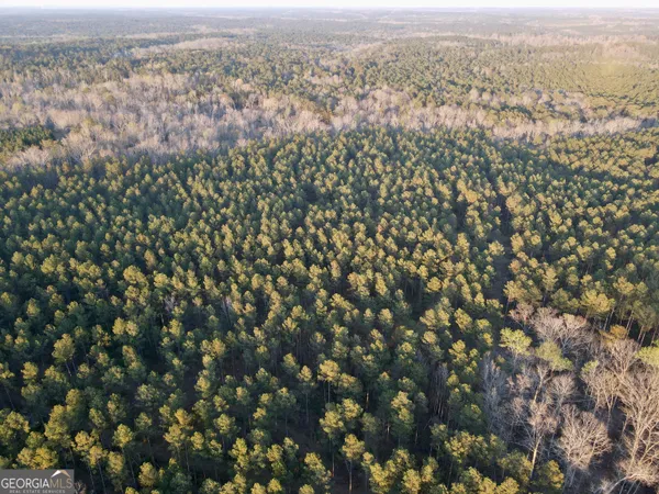 a view of city and mountain
