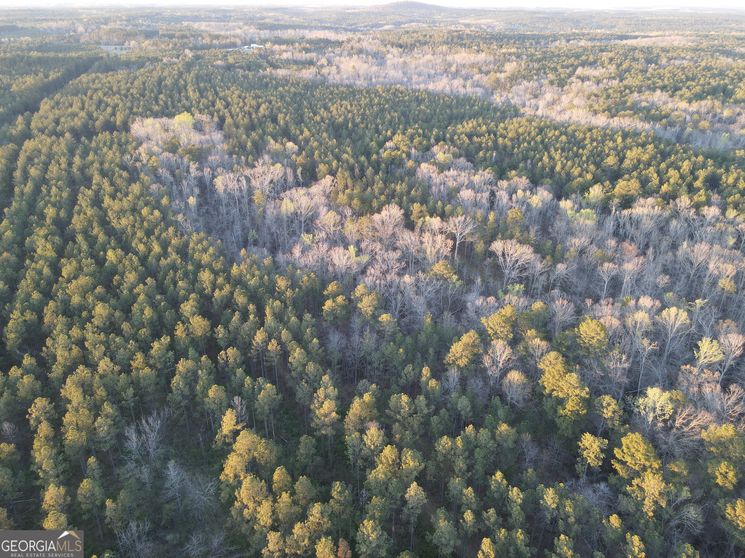 0 Long Cane Road Abbeville, SC 29620 - Photo 24 of 30