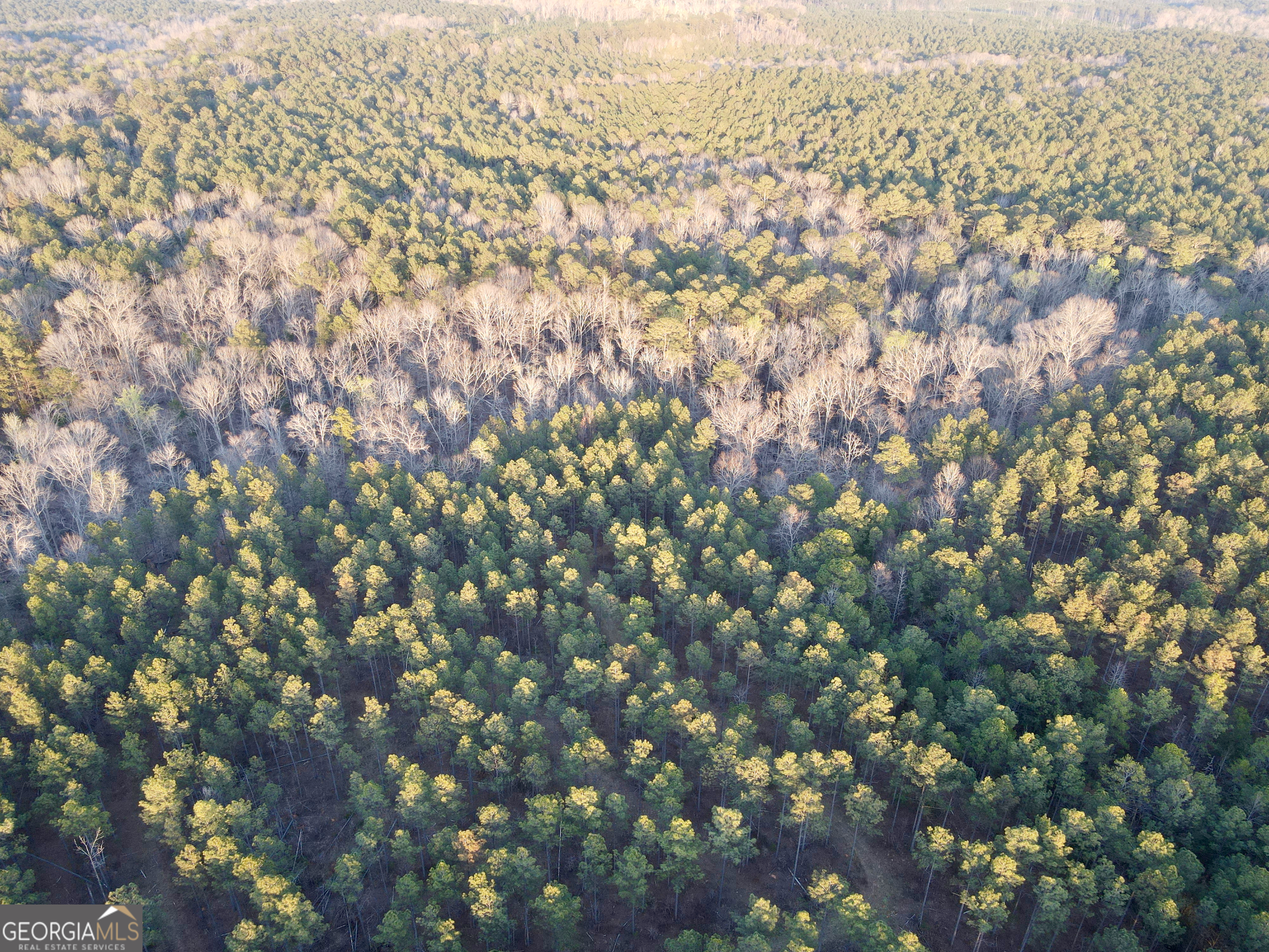 0 Long Cane Road Abbeville, SC 29620 - Photo 25 of 30