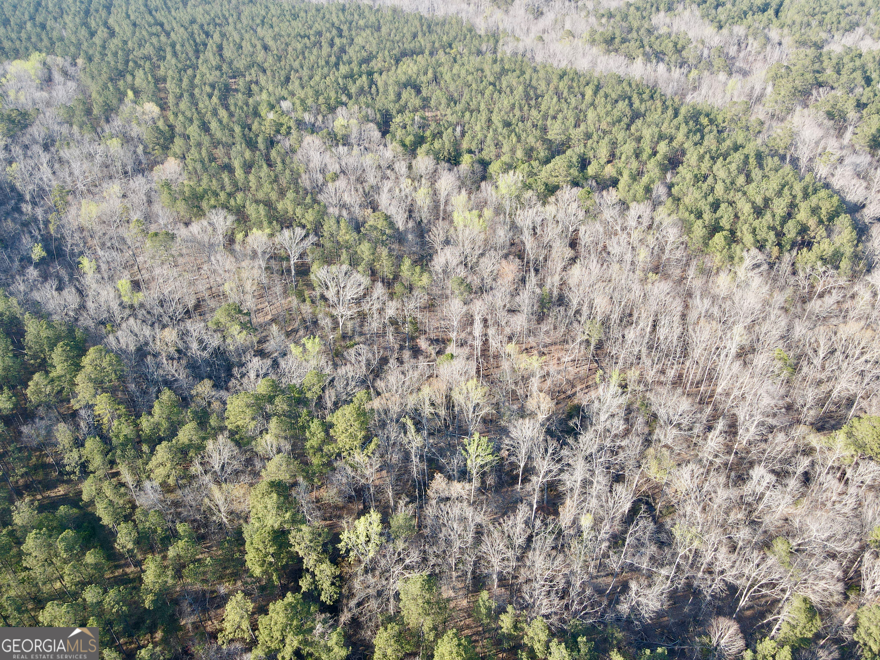 0 Long Cane Road Abbeville, SC 29620 - Photo 26 of 30