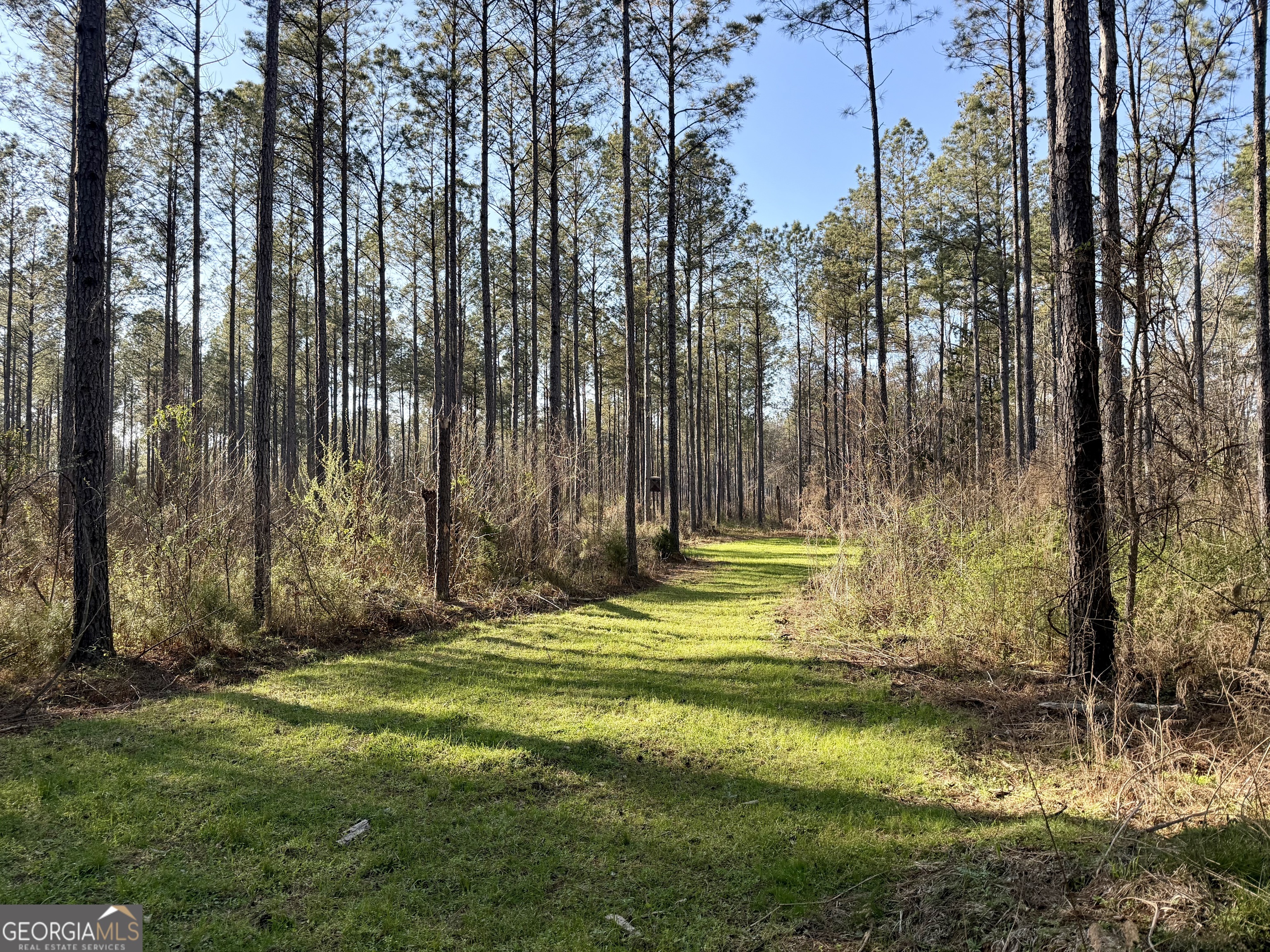 0 Long Cane Road Abbeville, SC 29620 - Photo 27 of 30