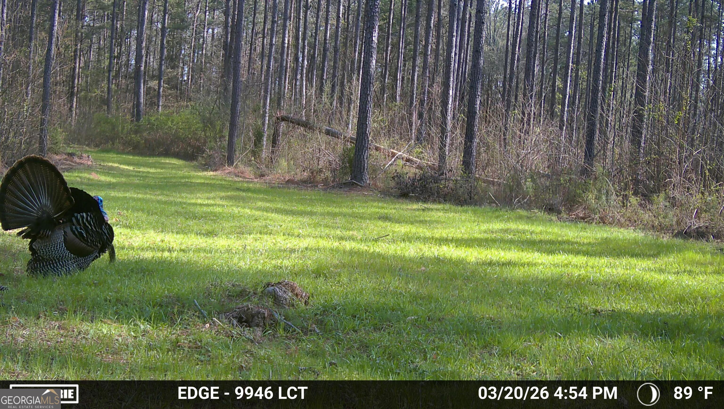 0 Long Cane Road Abbeville, SC 29620 - Photo 28 of 30