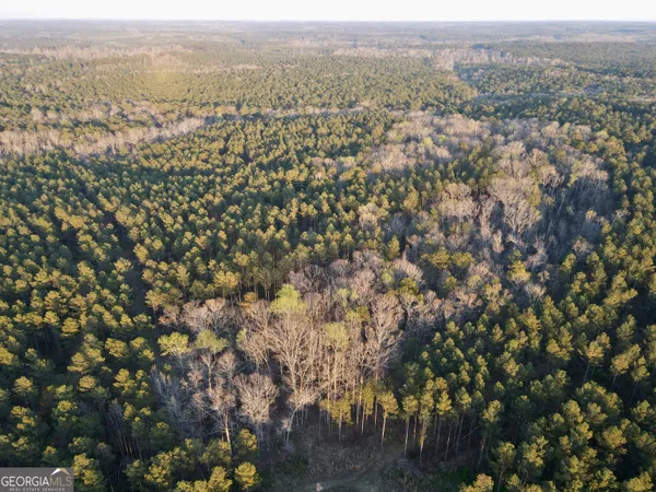 view of city and mountain