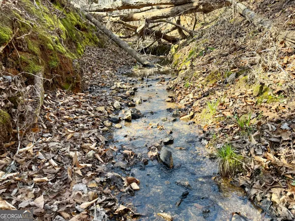 a view of lot of trees