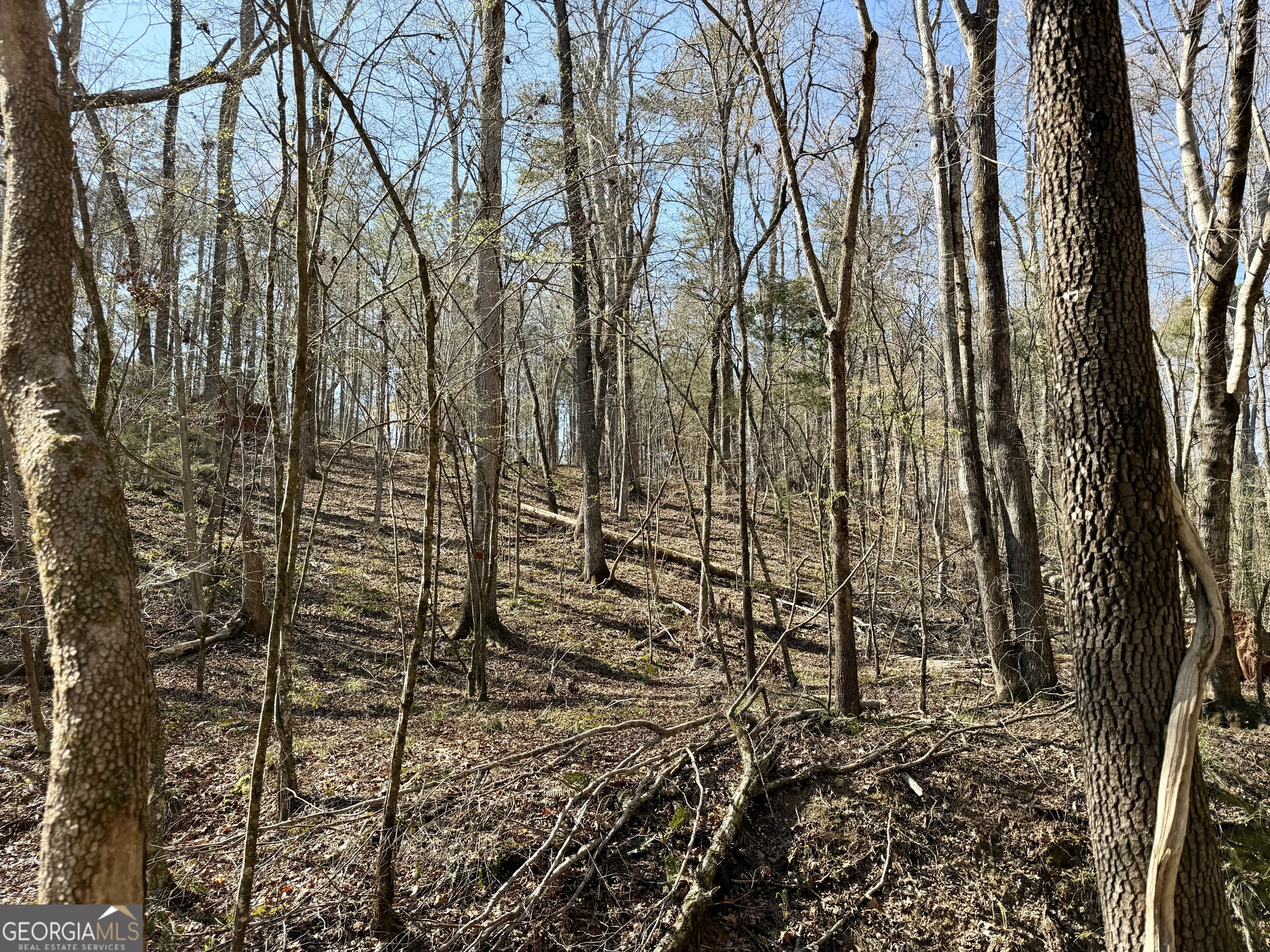 0 Long Cane Road Abbeville, SC 29620 - Photo 7 of 30