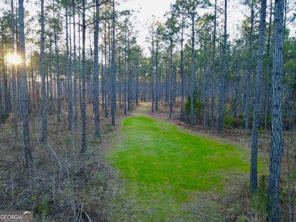 a view of a backyard with green space
