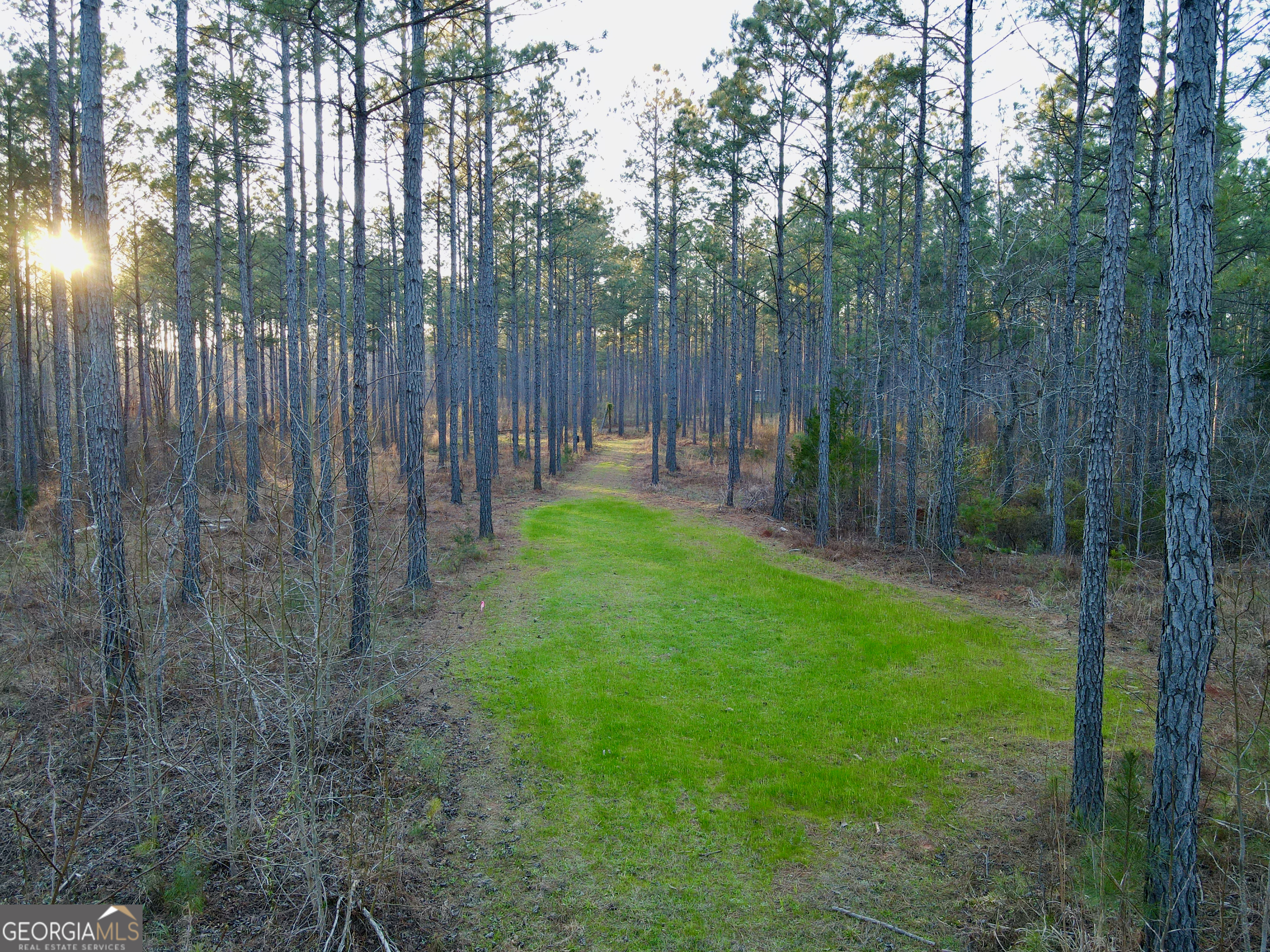 0 Long Cane Road Abbeville, SC 29620 - Photo 8 of 30