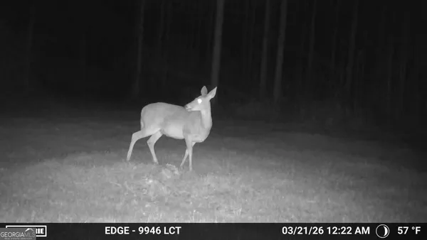 a picture of a room with a table and chair